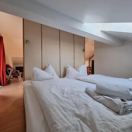 公寓 Haus Kreuzeckwiese - Fewo-waxenstein - 加爾米施-帕滕基興