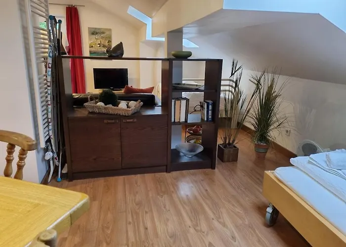 公寓 Haus Kreuzeckwiese - Fewo-waxenstein -